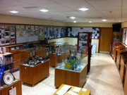 The Museum